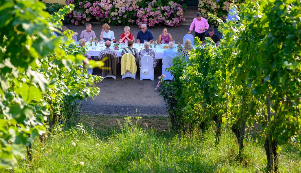 Weinbergdinner
