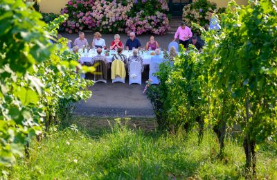 Weinbergdinner