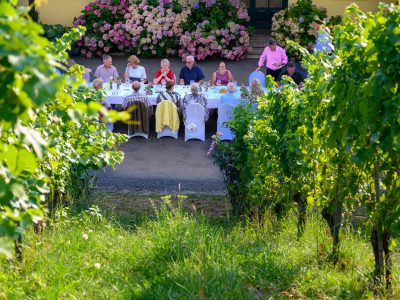 Weinbergdinner